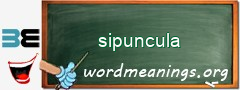 WordMeaning blackboard for sipuncula